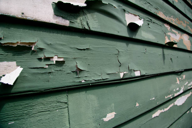 Best Demolition Debris Removal  in Avila Beach, CA